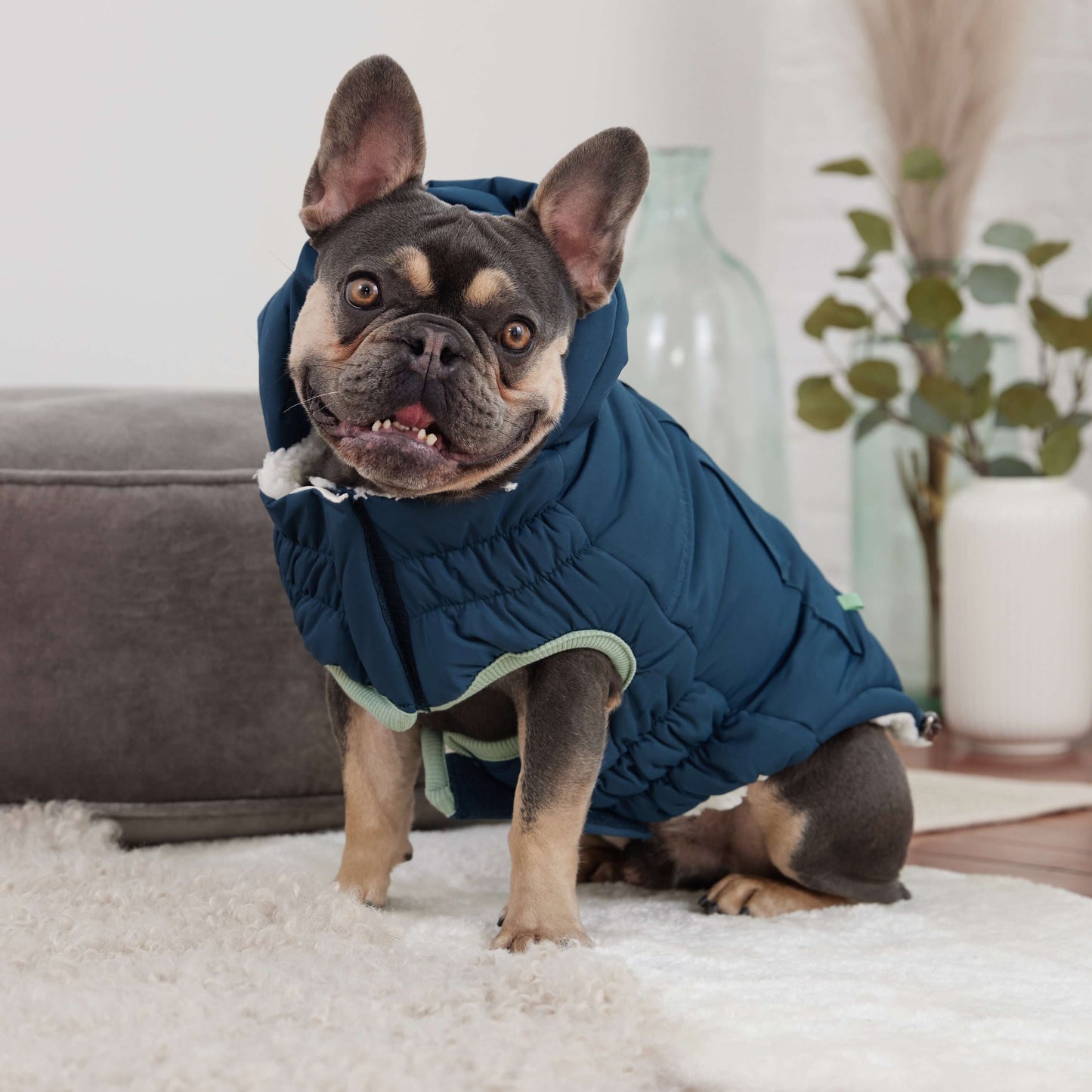 Arctic Parka - Teal K9 - Feline Unique Pet Accessories