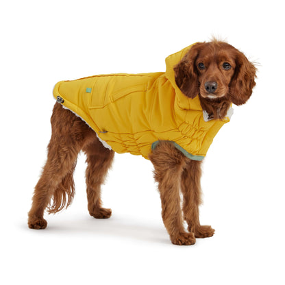 Arctic Parka - Yellow K9 - Feline Unique Pet Accessories