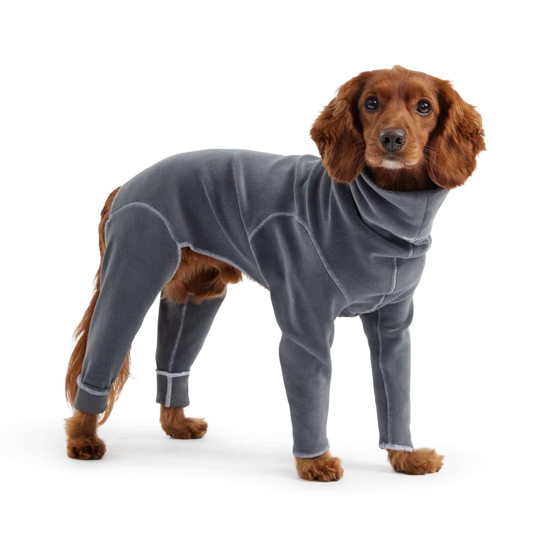 Gondola Onesie - Charcoal K9 - Feline Unique Pet Accessories