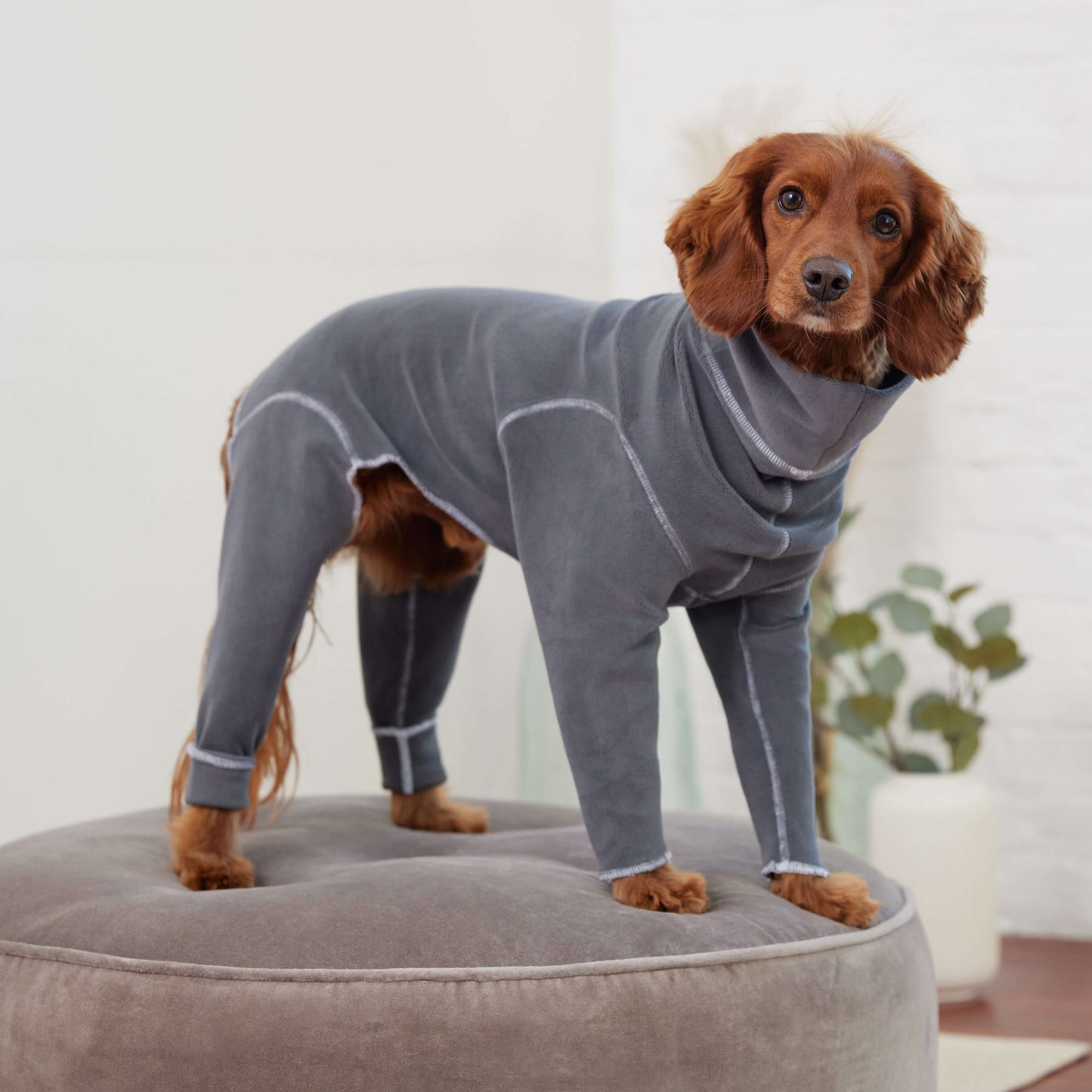 Gondola Onesie - Charcoal K9 - Feline Unique Pet Accessories