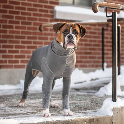 Gondola Onesie - Charcoal K9 - Feline Unique Pet Accessories