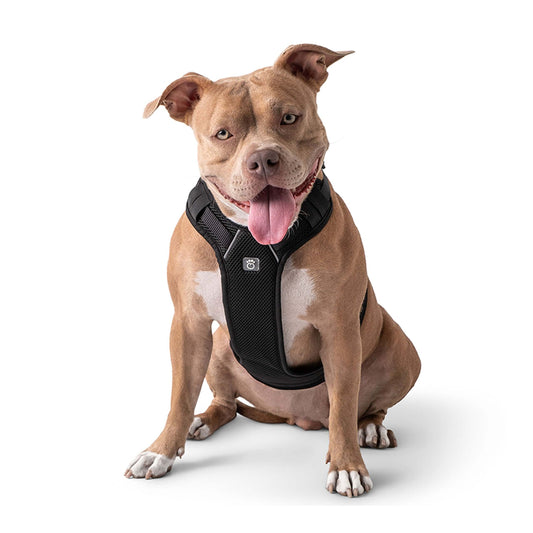 Travel Harness - Black K9 - Feline Unique Pet Accessories