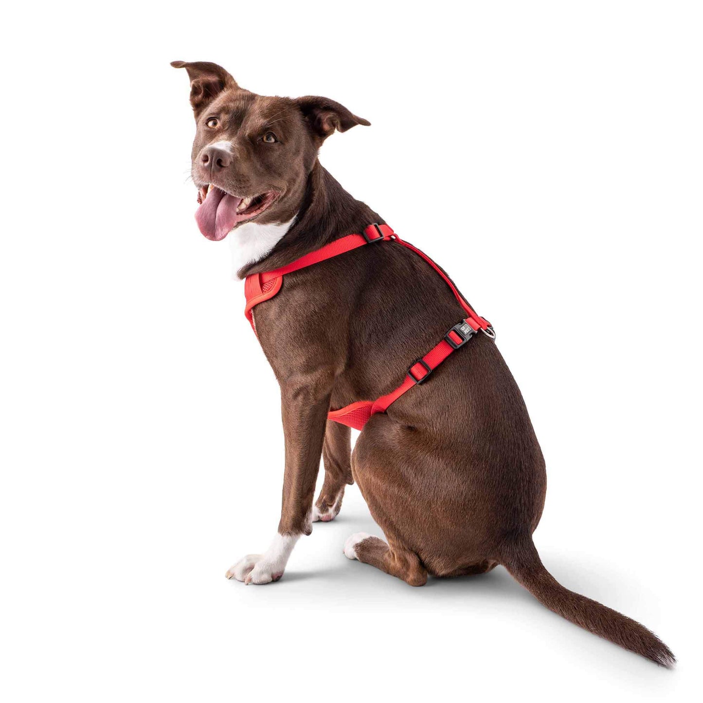 Travel Harness - Red K9 - Feline Unique Pet Accessories