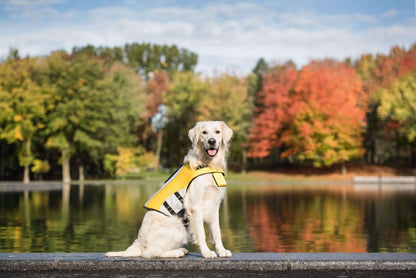 Life Vest - Dog Life Jacket K9 - Feline Unique Pet Accessories