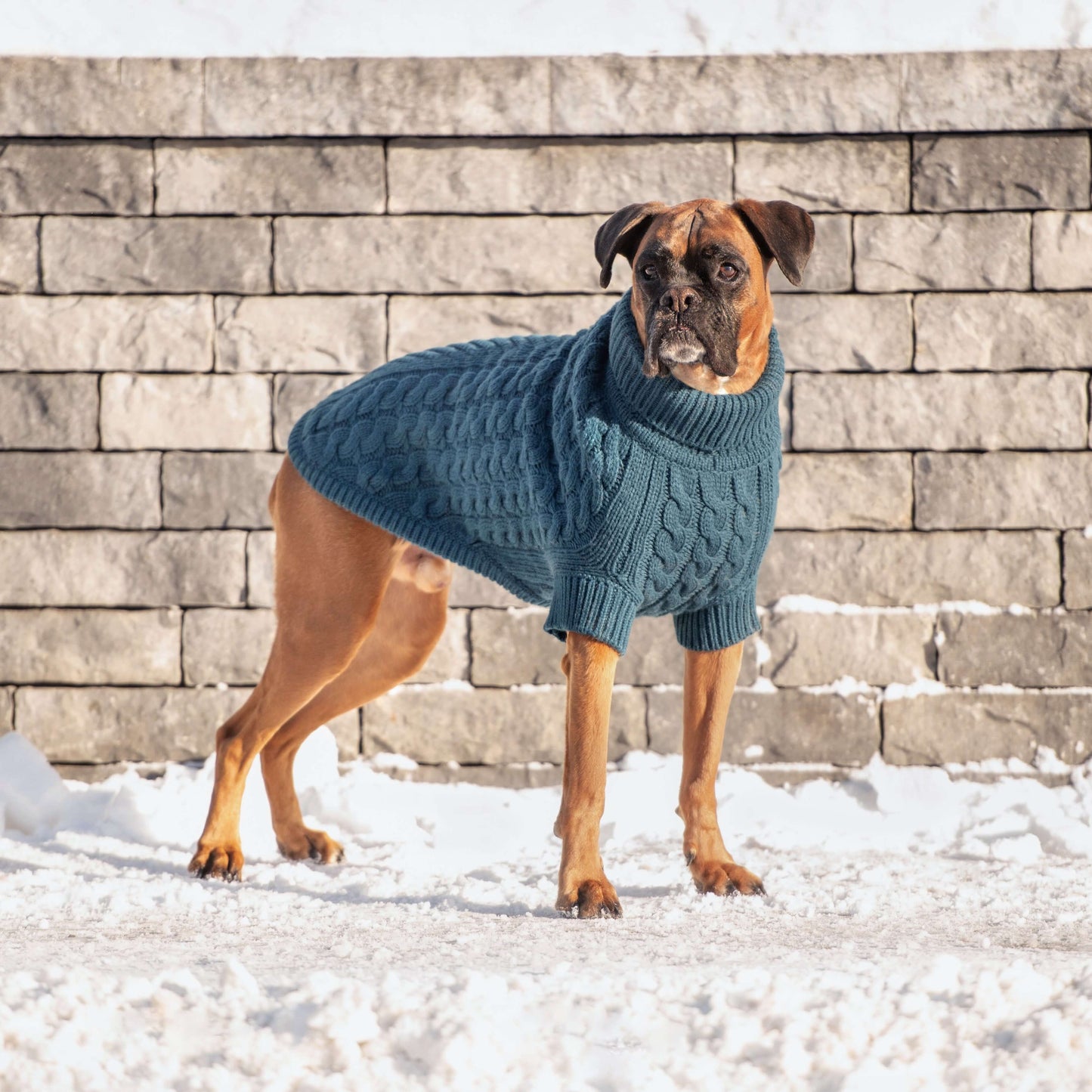 Chalet Sweater - Dark Teal K9 - Feline Unique Pet Accessories