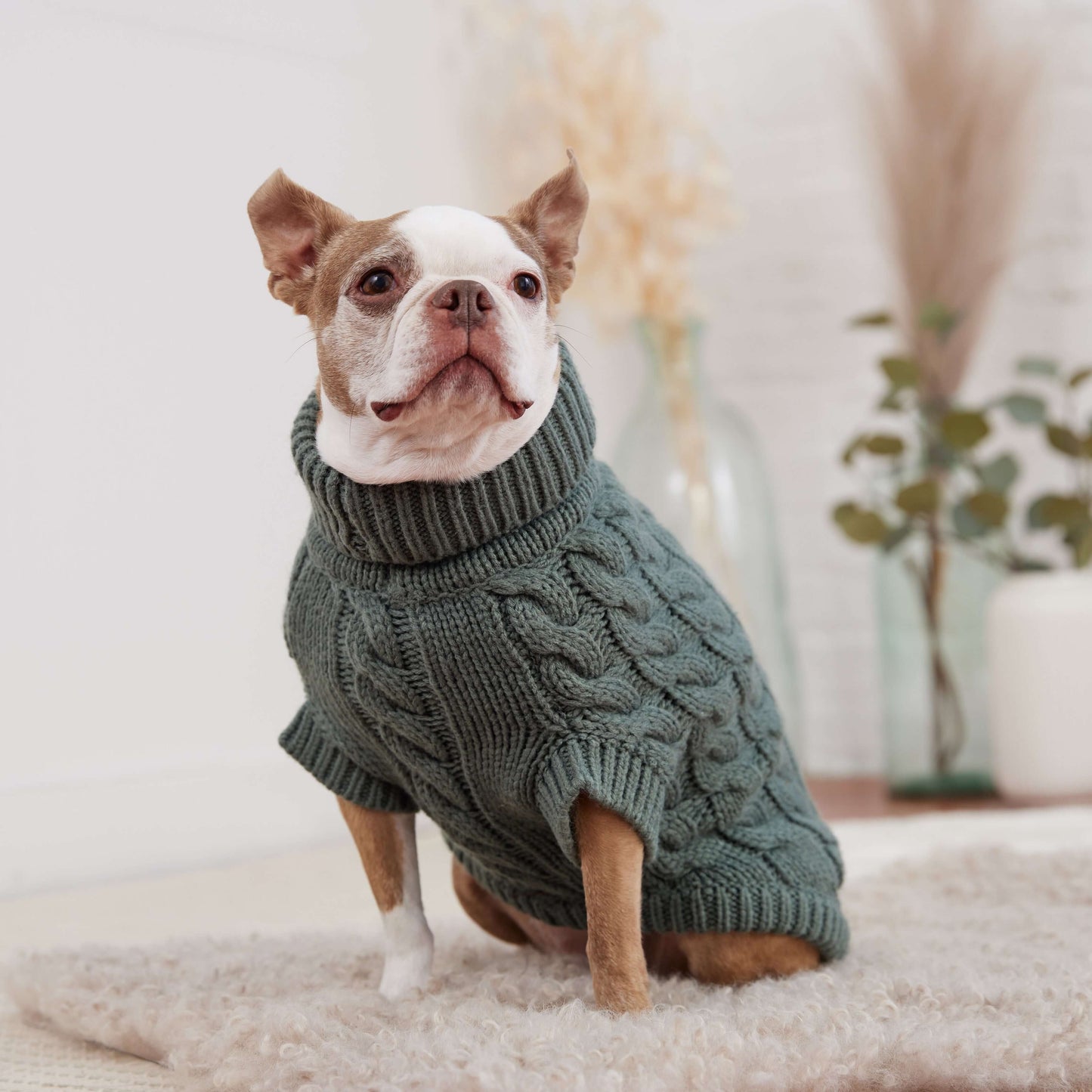 Chalet Sweater - Sage K9 - Feline Unique Pet Accessories