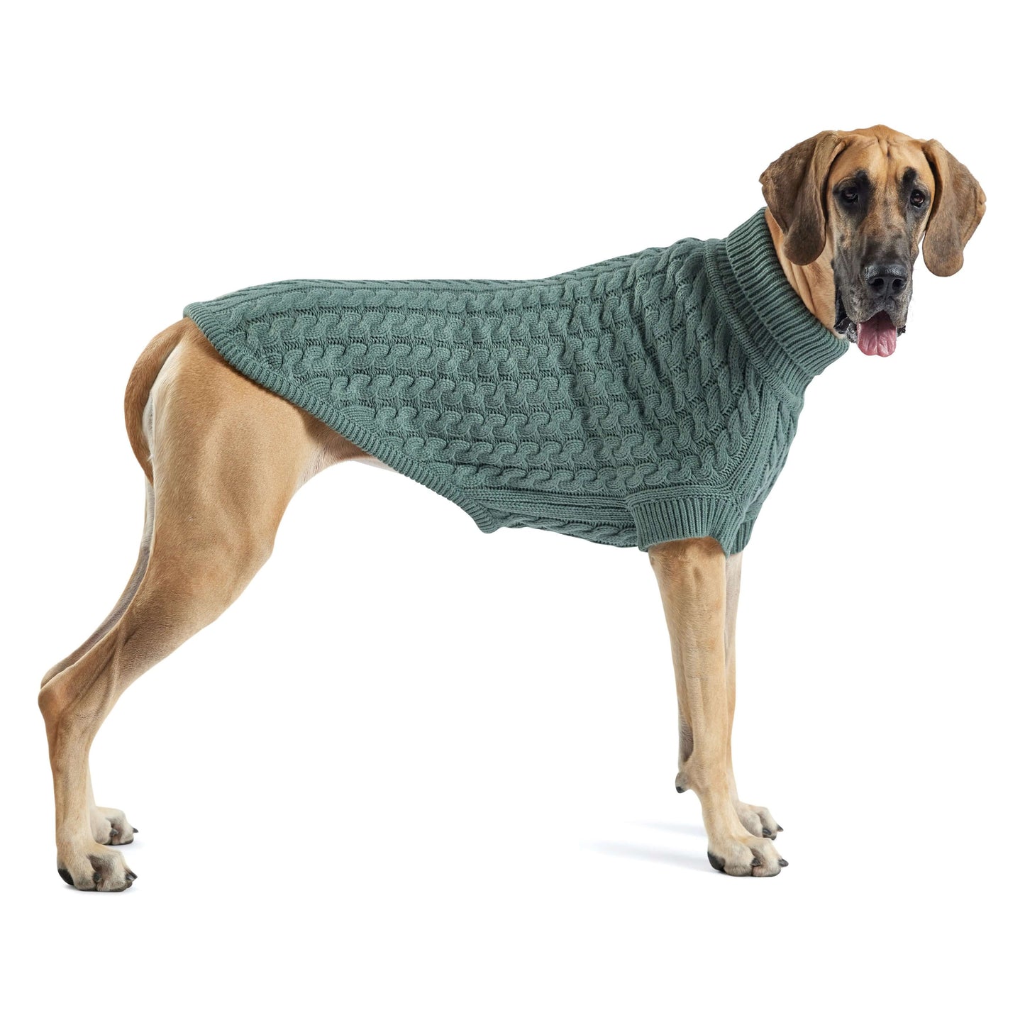 Chalet Sweater - Sage K9 - Feline Unique Pet Accessories