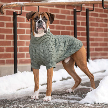 Chalet Sweater - Sage K9 - Feline Unique Pet Accessories