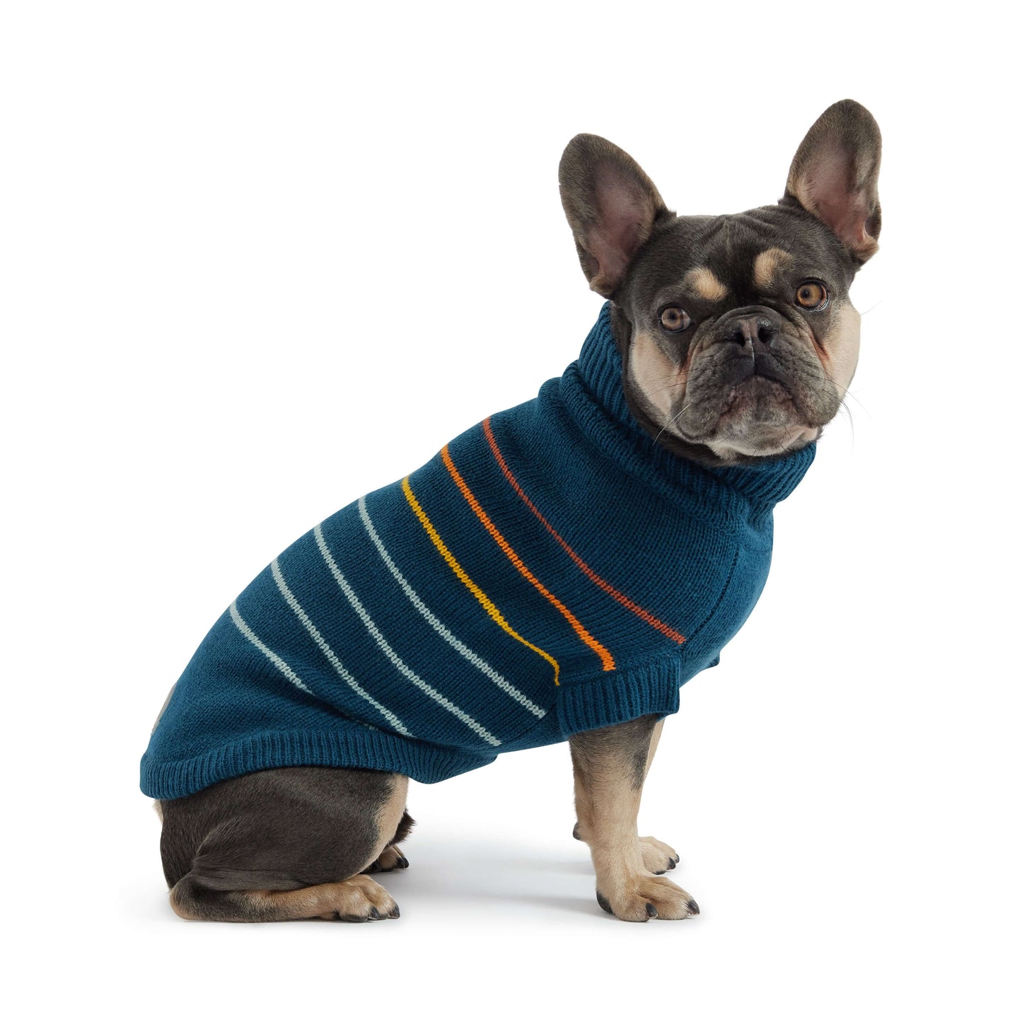 Arctic Sweater - Teal K9 - Feline Unique Pet Accessories