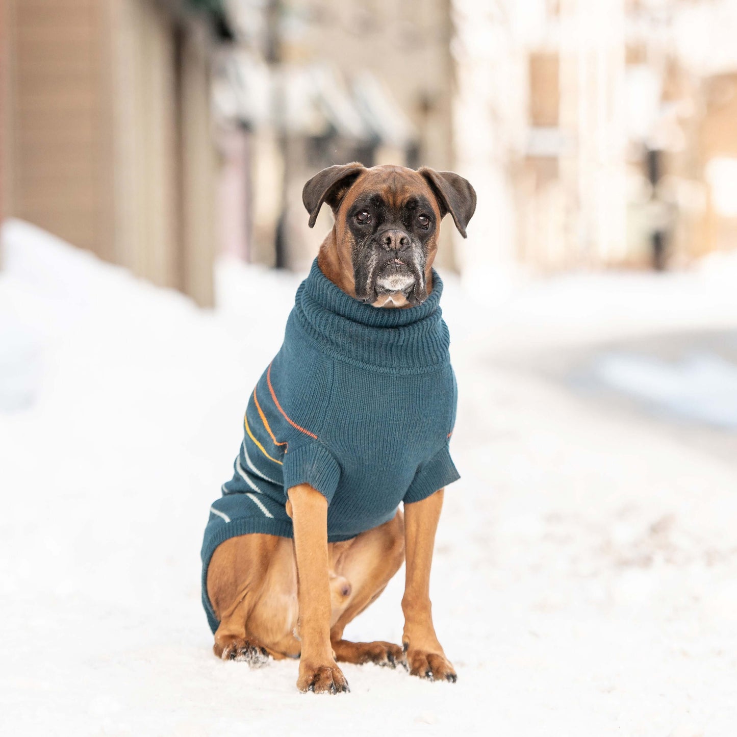 Arctic Sweater - Teal K9 - Feline Unique Pet Accessories